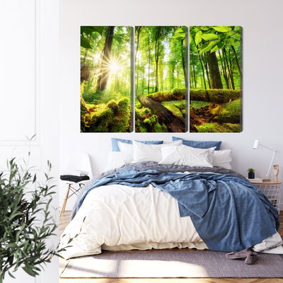 Ljuddämpande tavla - Rays of the sun in the 3d