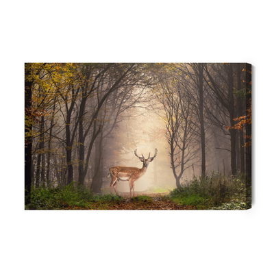 Ljuddämpande tavla - A deer in the middle