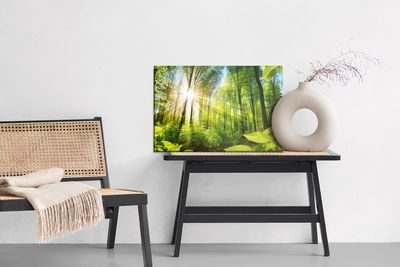 Ljuddämpande tavla - Sunrise in a green forest
