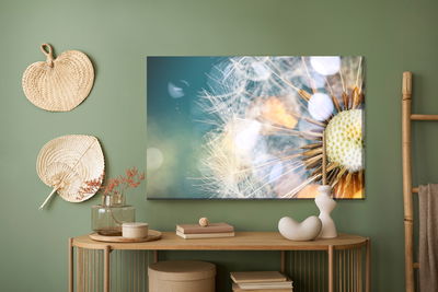 Ljuddämpande tavla - Close-up of a puffer fish