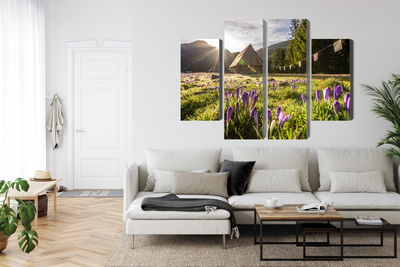 Ljuddämpande tavla - Chocholowska valley