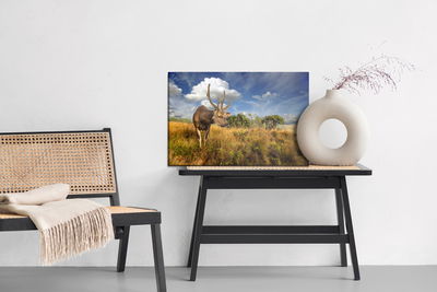 Ljuddämpande tavla - Deer against the sky