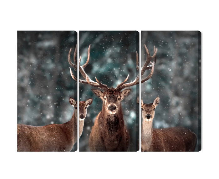 Ljuddämpande tavla - A deer and two does