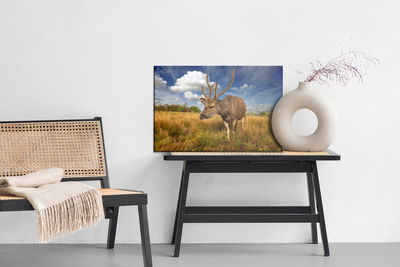 Ljuddämpande tavla - A deer in a clearing