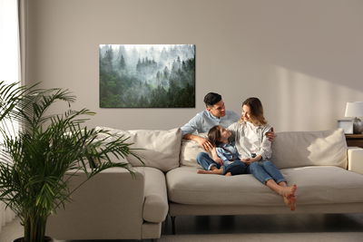 Ljuddämpande tavla - Foggy dark forest