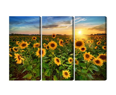 Ljuddämpande tavla - Sunflower field at sunset 3d