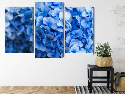 Ljuddämpande tavla - Blue hydrangea flowers close