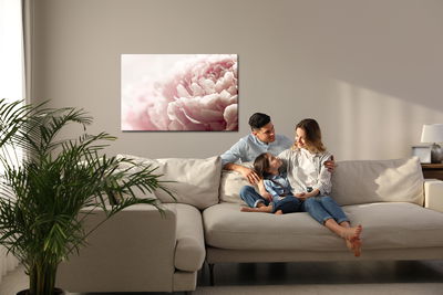 Ljuddämpande tavla - Peonies roses in pastel