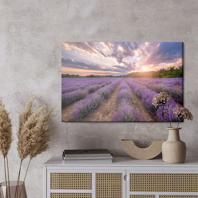 Ljuddämpande tavla - Lavender field at sunset