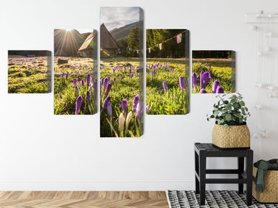 Ljuddämpande tavla - Chocholowska valley