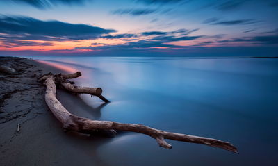 Ljuddämpande tavla - The sea landscape at evening