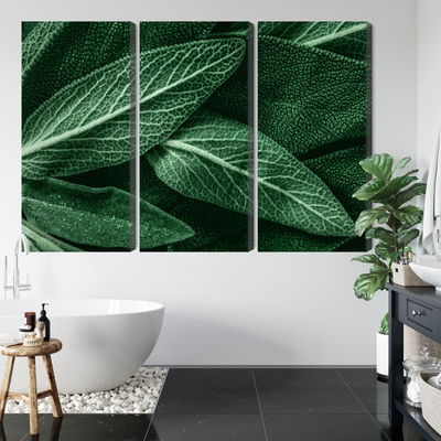 Ljuddämpande tavla - Salvia leaves on a macro