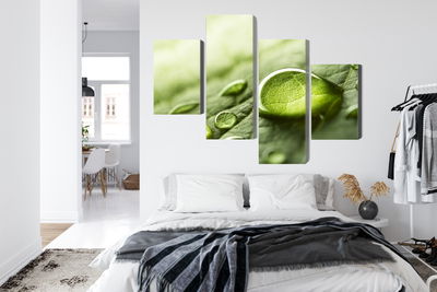 Ljuddämpande tavla - Water drops on a leaf