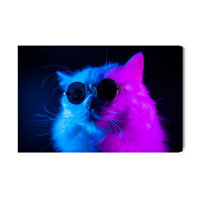Ljuddämpande tavla - Cat with sunglasses