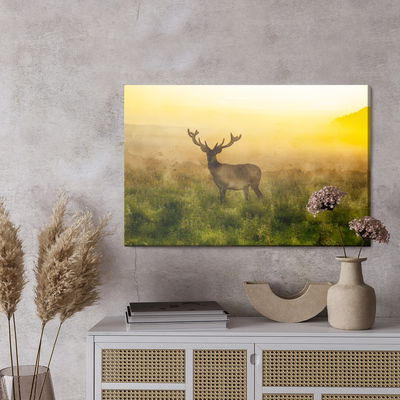 Ljuddämpande tavla - A deer and a foggy morning