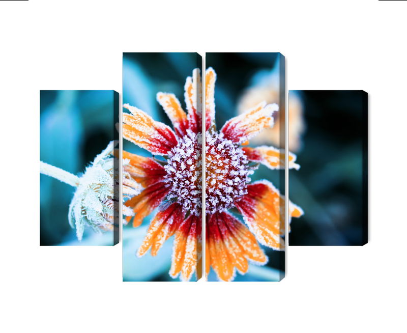 Ljuddämpande tavla - Rudbeckia flowers covered