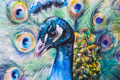 Ljuddämpande tavla - Peacock with colourful