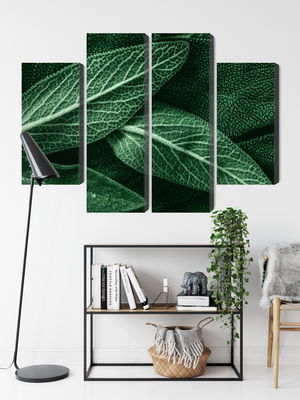 Ljuddämpande tavla - Salvia leaves on a macro