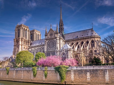 Ljuddämpande tavla - Notre dame cathedral, Paris