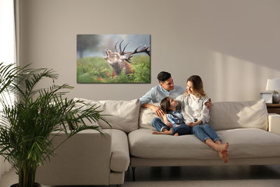 Ljuddämpande tavla - A roaring deer