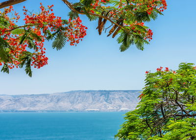 Ljuddämpande tavla - Landscape with the sea