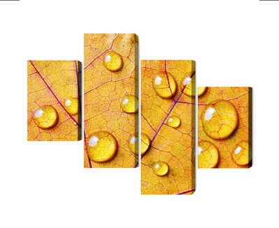 Ljuddämpande tavla - Water drops on an autumn