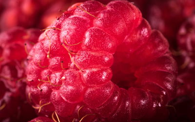 Ljuddämpande tavla - Raspberries on a macro scale