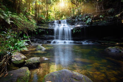 Ljuddämpande tavla - A waterfall in the bush