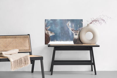Ljuddämpande tavla - Two deer in the winter forest