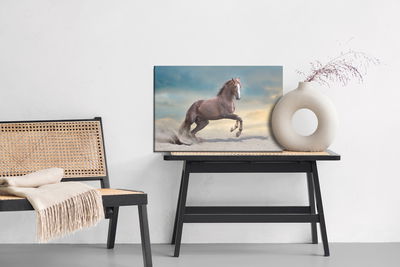 Ljuddämpande tavla - Majestic horse in the desert