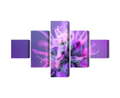 Ljuddämpande tavla - Macro plant on a pink-purple