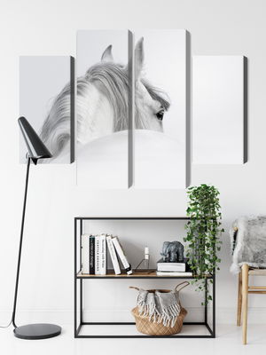 Ljuddämpande tavla - Andalusian horse in the fog