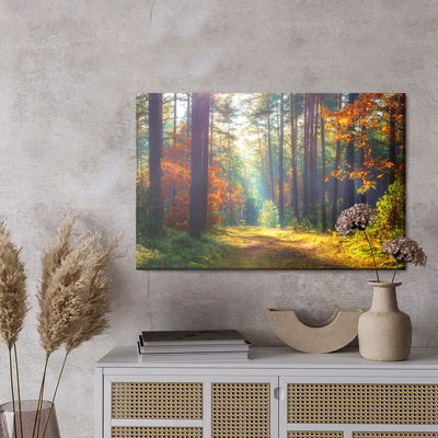 Ljuddämpande tavla - Autumn forest in the morning