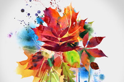 Ljuddämpande tavla - Colorful autumn leaves