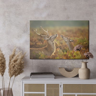 Ljuddämpande tavla - Deer with a doe