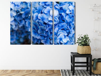 Ljuddämpande tavla - Blue hydrangea flowers close