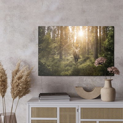 Ljuddämpande tavla - Deer and the sun's rays