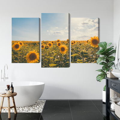 Ljuddämpande tavla - Sunflower field on a summer