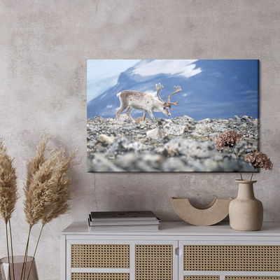 Ljuddämpande tavla - Reindeer on the background