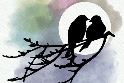 Ljuddämpande tavla - Silhouettes of birds