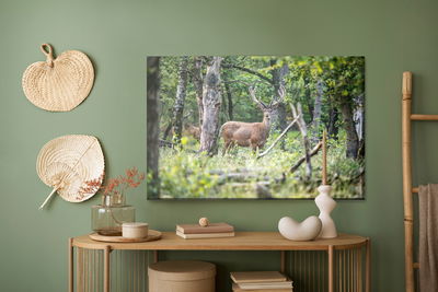 Ljuddämpande tavla - A deer in the middle