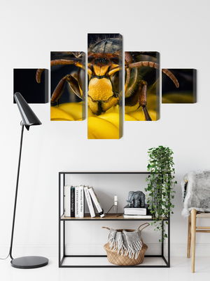 Ljuddämpande tavla - Wasp on a macro scale