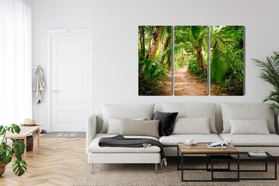 Ljuddämpande tavla - Path in a tropical 3d forest