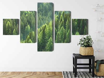 Ljuddämpande tavla - The green of the forest