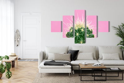 Ljuddämpande tavla - Cactus on a pink background