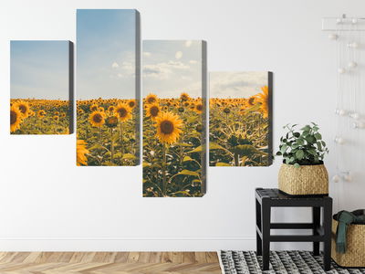 Ljuddämpande tavla - Sunflower field on a summer