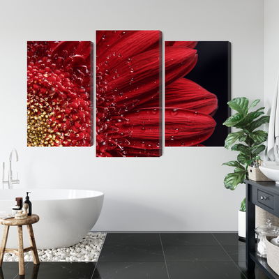 Ljuddämpande tavla - Flower petals on a macro