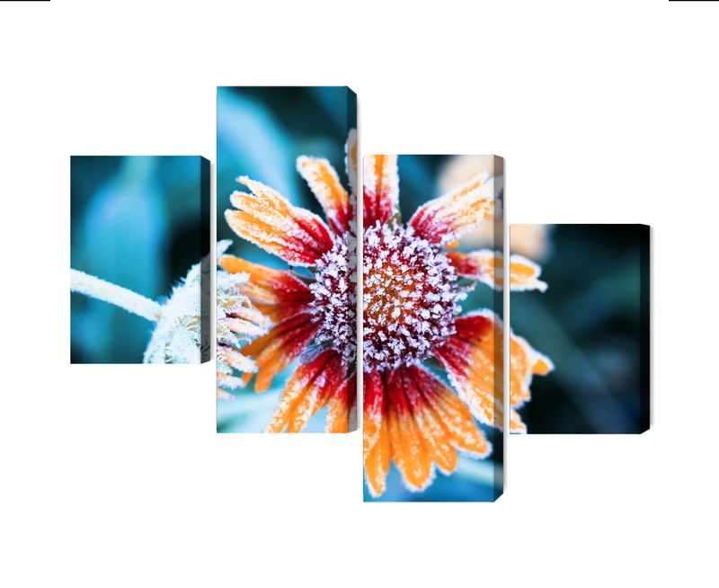 Ljuddämpande tavla - Rudbeckia flowers covered