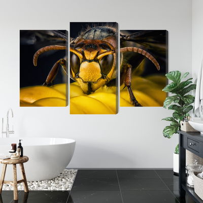 Ljuddämpande tavla - Wasp on a macro scale