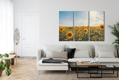 Ljuddämpande tavla - Sunflower field on a summer